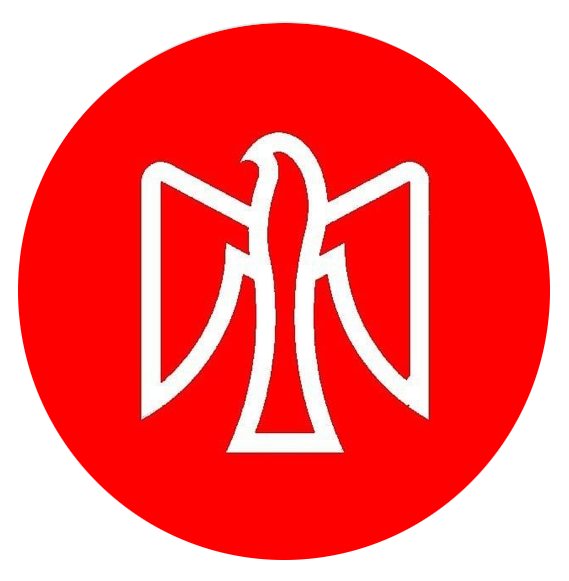 Logo von SJD Die Falken Hannover und Link zur Infoseite